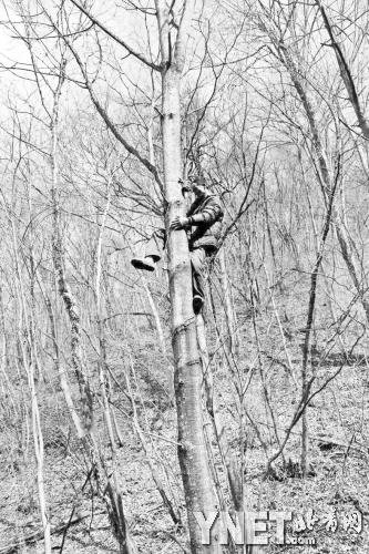 �Ǹ�Ͷ�������C��������