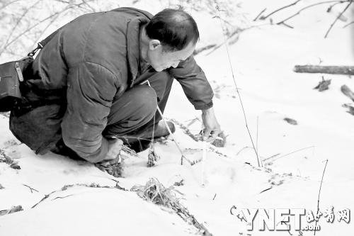 ���ڜy�������ϻ�����ѩ�w��ѩ�����E