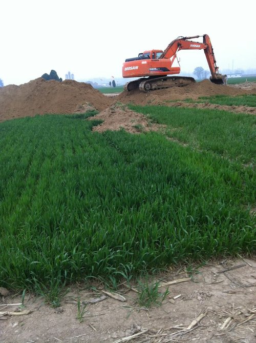 ¹ؔ(sh)ʮﱻP 砵(D)