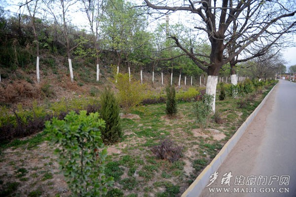 DYH_9354.jpg DYH_9354.jpg