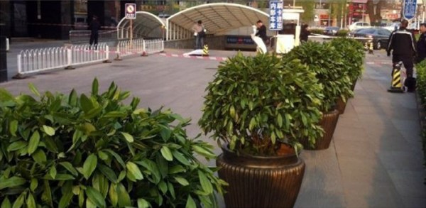 �D���°l(f��)�F(xi��n)��(ch��ng)���������ѽ�(j��ng)������