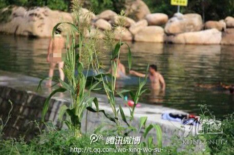 ����8���f(xi��)���{��܇�����^(q��)��Ӿ���o�� ؟(z��)����ӛ�^