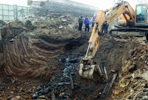 �����������@�ﱻ�l(f��)�F(xi��n)��