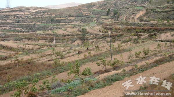 IMG_9146 - 副本.jpg