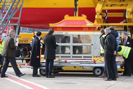 �Ї�����؈�ֱ����r��Ԫ�׼��Y�� �����H�ԽәC