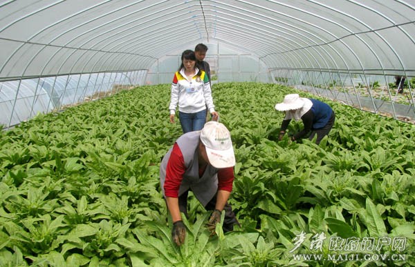 IMG_8885.JPG IMG_8885.JPG