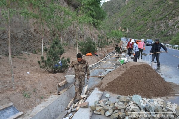 5月4日縣委書記劉天波檢查道路綠化工程 (19).jpg