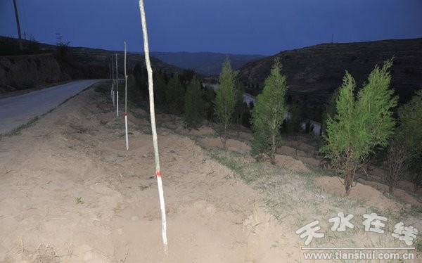 5月4日縣委書記劉天波檢查道路綠化工程 (23).jpg