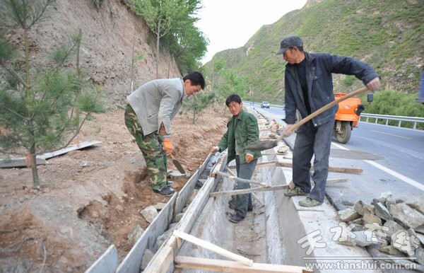 5月4日縣委書記劉天波檢查道路綠化工程 (14).jpg