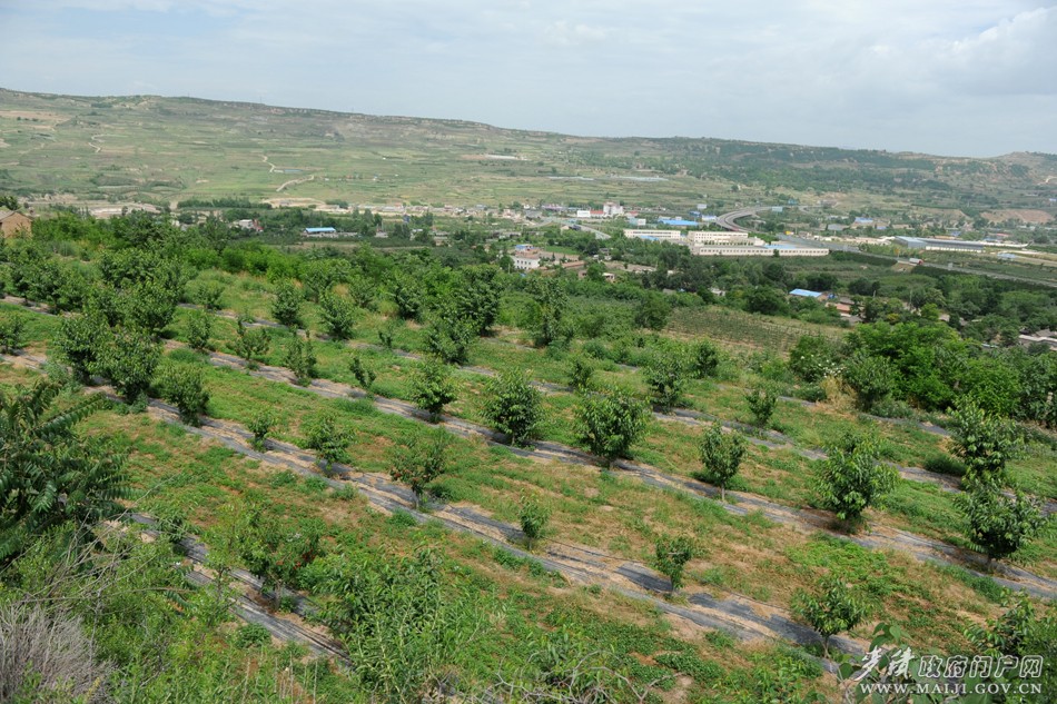 DYH_6813.JPG DYH_6813.JPG