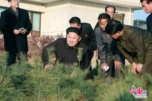 �Ї��W11��11��Ӎ ��?sh��)ؕr�g2014��11��11�Ո�������rƽ��������(j��)���ڄ�������������r����I���˽�����ҕ��Nֲ�@�����g������߀���ڵ��ϣ��z�����Nֲ��r���������ȼ��џo��K��