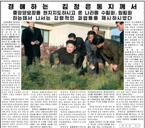 �D�鳯�r���ڄ������؈D