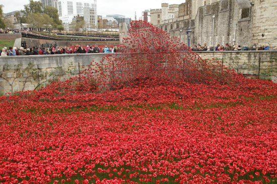 ÷^tɫڻٝ@(hu)^(D)