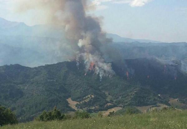 ������ɼܡ����L(f��ng)����(zh��n)�C(j��)��ײ���� 4��ʧۙ(�D)