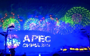 ����ƽ��D�cAPEC�I������ȫ�Ҹ�(�D)