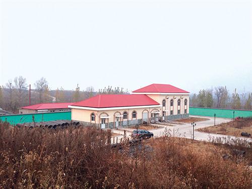 億元巨貪馬超群被稱“水霸” 練九節(jié)鞭防報復