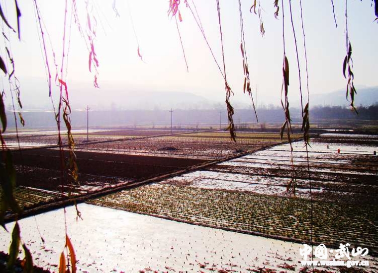 點(diǎn)擊查看大圖