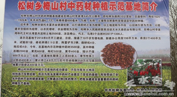 �ɘ��l(xi��ng)��ɽ��ˎ�ķNֲ���� (4).jpg