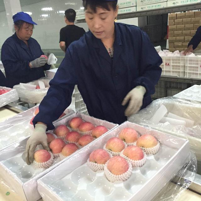 ʮČ×ϼOˇg(sh)(ji)_Ļ