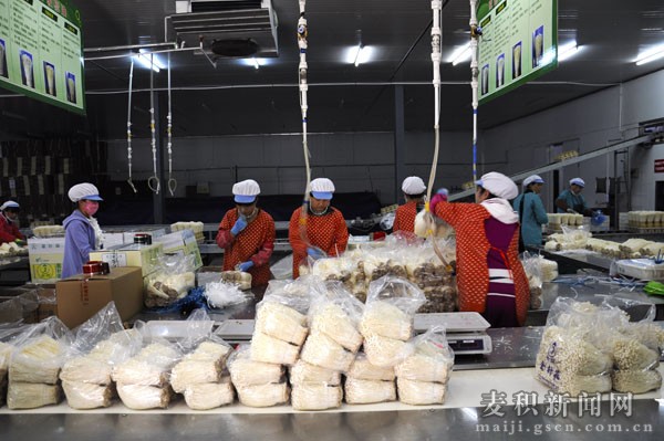 眾興菌業(yè)公司 眾興菌業(yè)公司