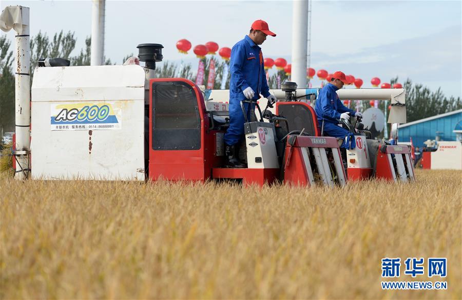 Aȫý^lDĻӣ9pĹ(ji) ƾõĠoׂЇr(nng)Sչ(ji)