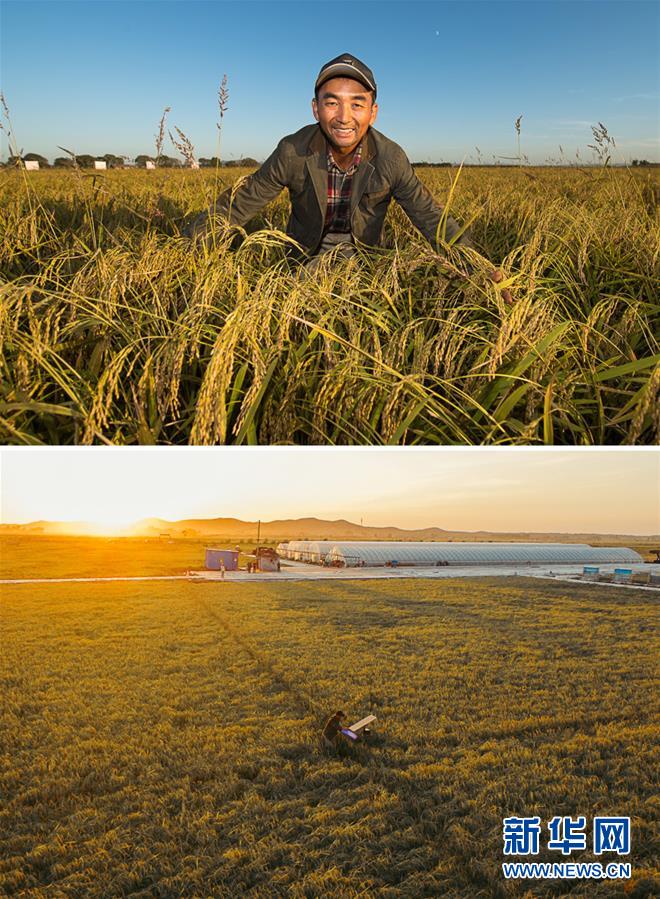 Aȫý^lDĻӣ10pĹ(ji) ƾõĠoׂЇr(nng)Sչ(ji)