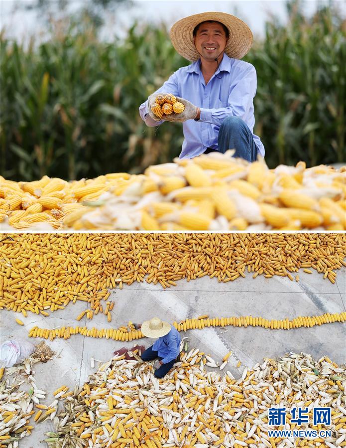 #Aȫý^lDĻӣ11pĹ(ji) ƾõĠoׂЇr(nng)Sչ(ji)