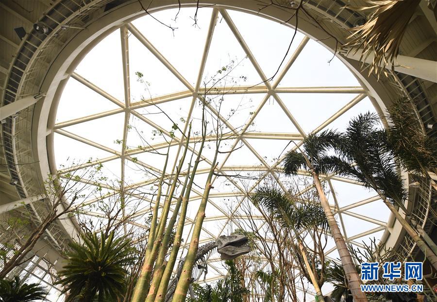 Aȫý^lDĻ(dng)4cȻC̎҈@ڱ@(hu)_ĻӋ(j)r(sh)֮H