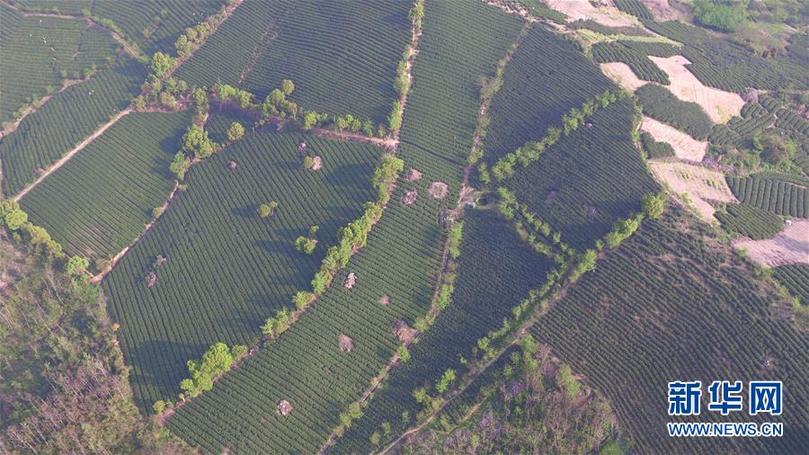 (兩會前夕看落實·圖文互動)(9)綠色發(fā)展引領(lǐng) 守護(hù)“魚米之鄉(xiāng)”——江蘇落實習(xí)近平總書記全國兩會重要講話精神紀(jì)實