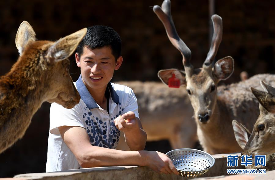 Їòϵu(png)DĻ(dng)3EЇ70Їò׃wu(png)֮һ