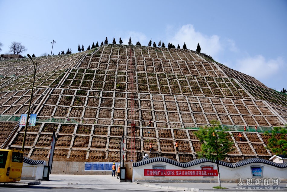 ï¼ˆåŒºåºœ¯åŒ—åç”Ÿæ€æŠå¡ç»¿åŒ–¡¹ç›®ï¼‰