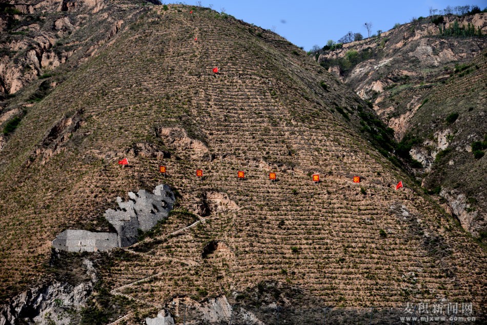 ï¼ˆå—åŒ—ä¸åç»¿åŒ–ææ”¹€ å¥ç‹ï¼‰