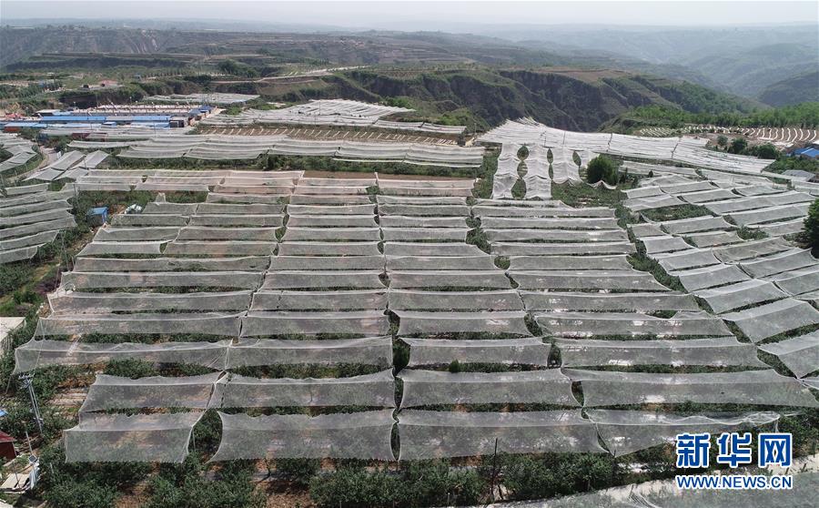 �����Aȫý�^�l���D�Ļ��ӣ���1������ƽ�ķ�ؚ����