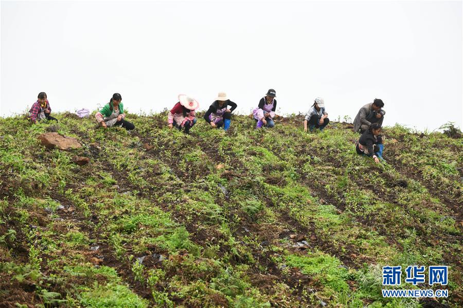 �����Aȫý�^�l���D�Ļ��ӣ���18������ƽ�ķ�ؚ����