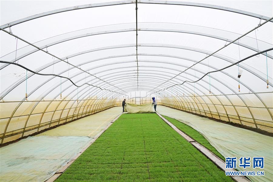 �����Aȫý�^�l���D�Ļ��ӣ���3��׌�Ї����˵ø��Ρ��������A�Z�}��������Ӱ