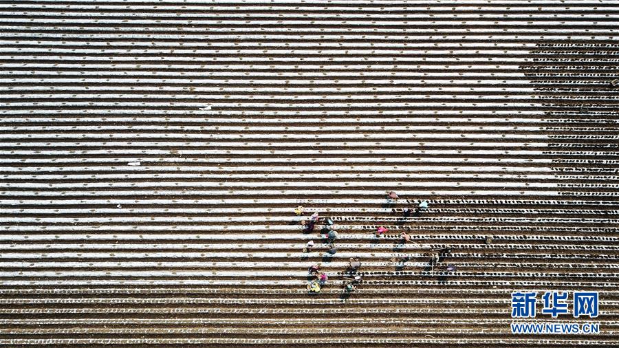 �����Aȫý�^�l���D�Ļ��ӣ���4��׌�Ї����˵ø��Ρ��������A�Z�}��������Ӱ