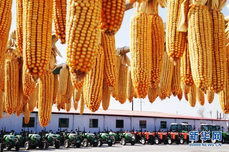 �����Aȫý�^�l���D�Ļ��ӣ���5��׌�Ї����˵ø��Ρ��������A�Z�}��������Ӱ