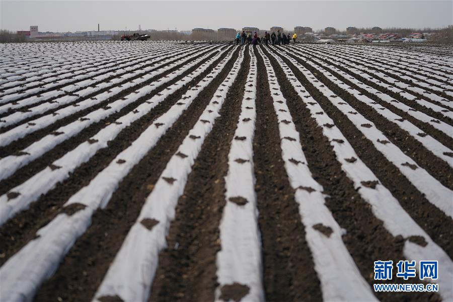 �����Aȫý�^�l���D�Ļ��ӣ���8��׌�Ї����˵ø��Ρ��������A�Z�}��������Ӱ