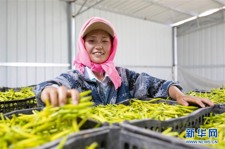 Aȫý^l҂СDĻӣ1223f˵\D(zhun)ۡ҇׵B(ti)Å^(q)Óؚܴa