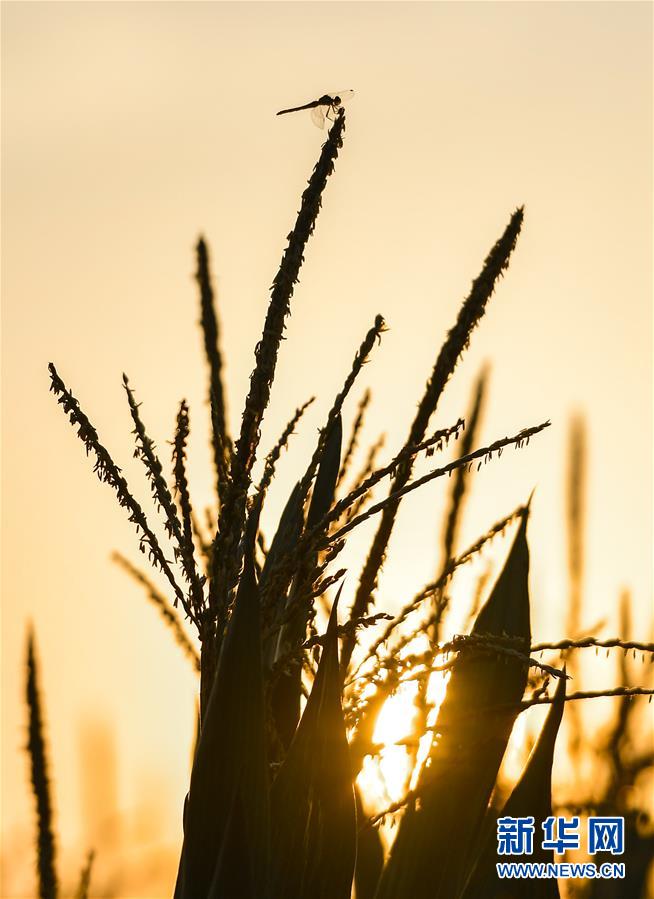 (x)ƽrЇɫx˼ָ¡rƪ¡(x)ƽӛP(gun)¡DĻӣ9׌ճԵ߀ҪԵúá(sh)ZʳȫA(ch)Ї