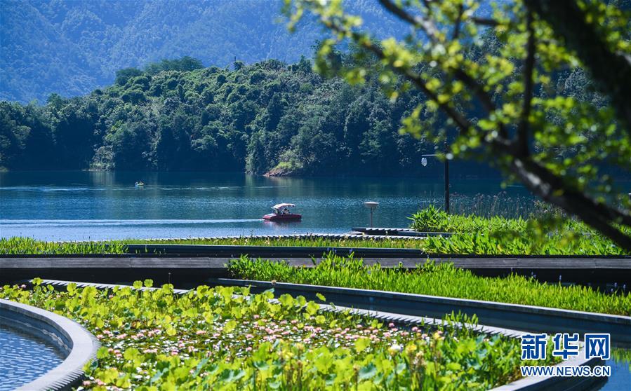 (新華全媒頭條·圖文互動(dòng))(8)生態(tài)文明之光照耀美麗中國(guó)——寫在綠水青山就是金山銀山理念提出15周年之際