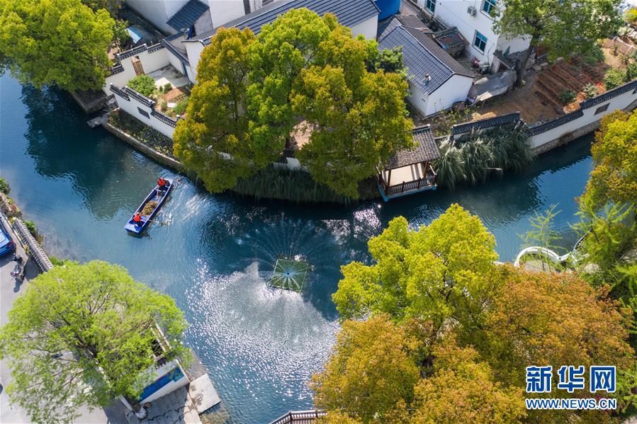(新華全媒頭條·圖文互動(dòng))(12)生態(tài)文明之光照耀美麗中國(guó)——寫在綠水青山就是金山銀山理念提出15周年之際