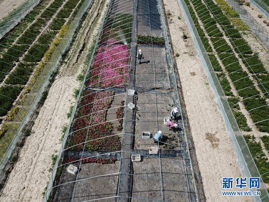 �����Aȫý�^�l�������҂���С������D�Ļ���(d��ng)����1������ס�����������ζ���d�L(zh��ng)����Óؚ����(ji��n)�ĸ��Cζ��