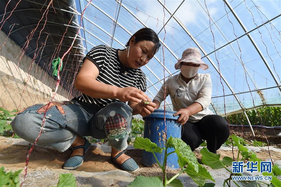 �����Aȫý�^�l�������҂���С������D�Ļ���(d��ng)����5������ס����٣�����ζ���d�L(zh��ng)����Óؚ����(ji��n)�ĸ��Cζ��