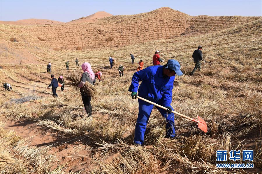 �����Aȫý�^�l�������҂���С������D�Ļ���(d��ng)����6������ס�����������ζ���d�L(zh��ng)����Óؚ����(ji��n)�ĸ��Cζ��