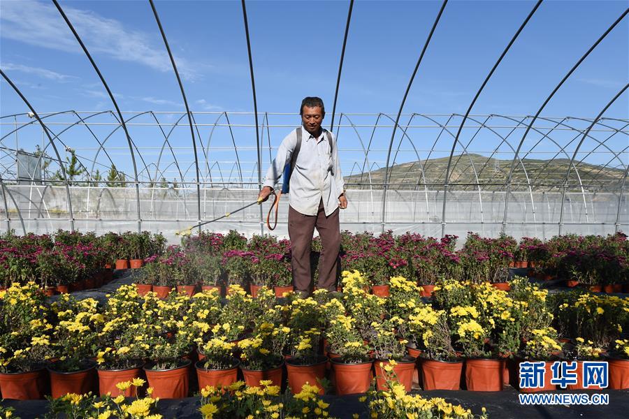 �����Aȫý�^�l�������҂���С������D�Ļ���(d��ng)����10������ס�����������ζ���d�L(zh��ng)����Óؚ����(ji��n)�ĸ��Cζ��