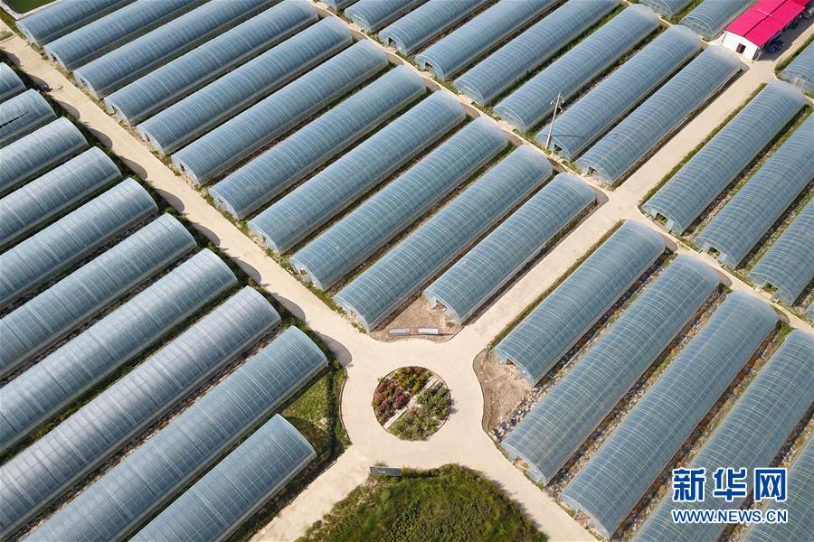 �����Aȫý�^�l�������҂���С������D�Ļ���(d��ng)����11������ס�����������ζ���d�L(zh��ng)����Óؚ����(ji��n)�ĸ��Cζ��