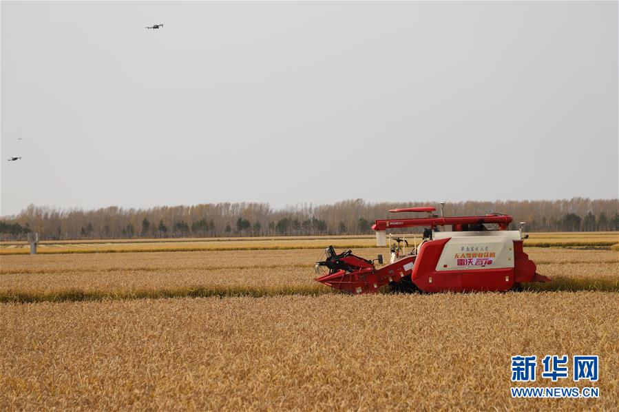 ���D�Ļ���(d��ng)����1������ġ��o(w��)�˻��r(n��ng)��(ch��ng)�������ϡ��S����