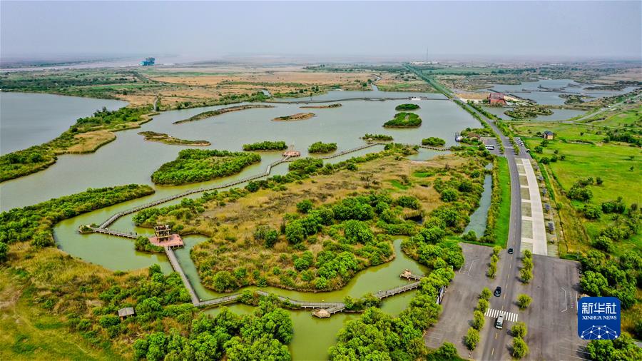 �����Aȫý�^�l���D�Ļ���(d��ng)����3����׌�҂�һ����δ���������� ��(x��)��ƽ��ϯ2022�������R�~