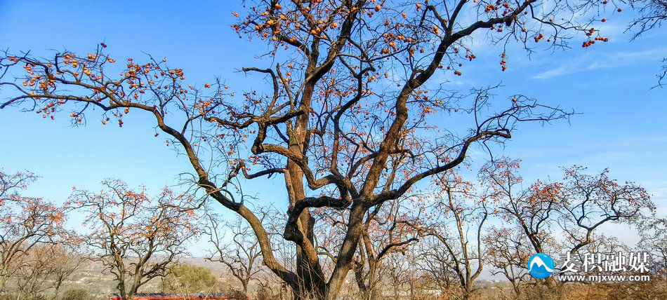 IMG_20231118_1637101